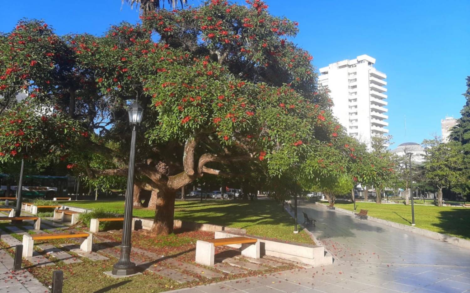 La Plata, en modo primavera ideal este jueves