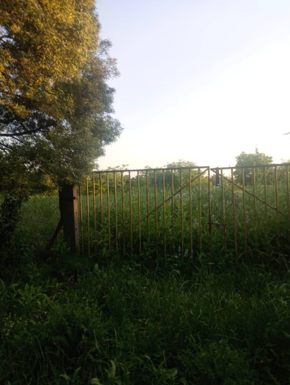 Preocupación vecinal por un terreno abandonado, en City Bell en calle 28 y 455