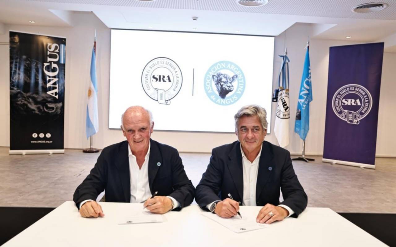 Acuerdo entre la Rural y Angus para modernizar la gestión genética de reproductores