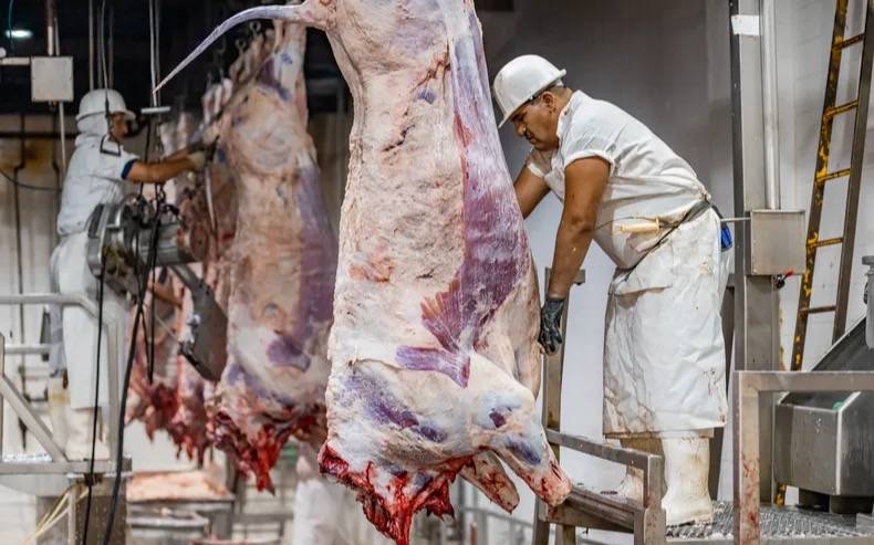 La producción bovina nacional muestra leve repunte y señales de ajuste en octubre