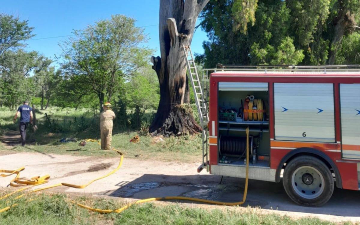 Se incendió un árbol añoso en Arturo Seguí