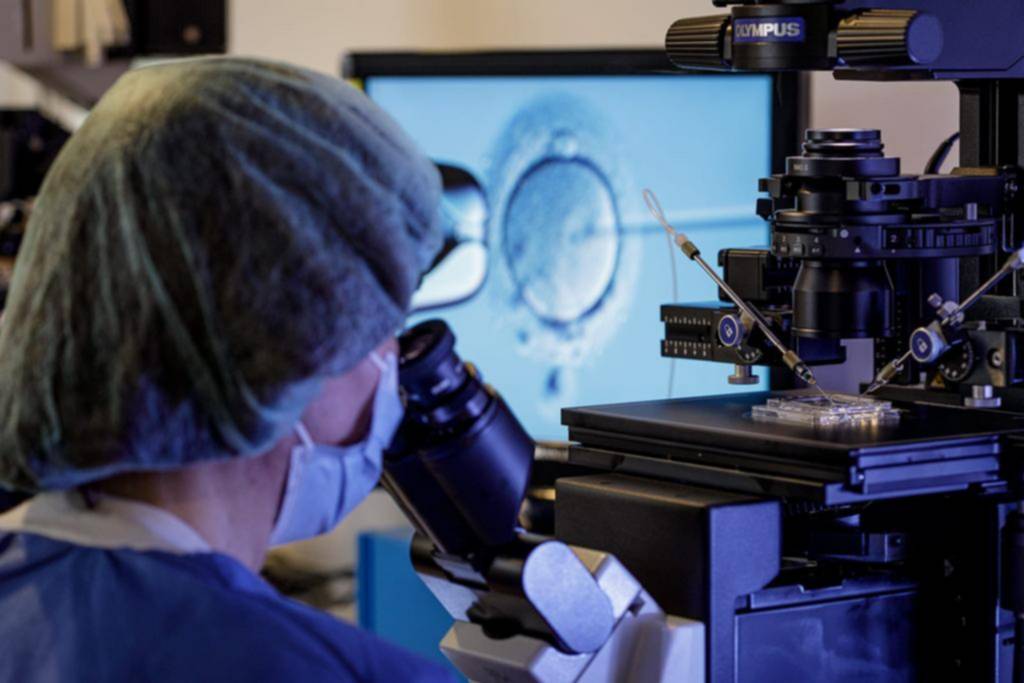 Fertilización asistida: mejoran las chances de éxito con IA