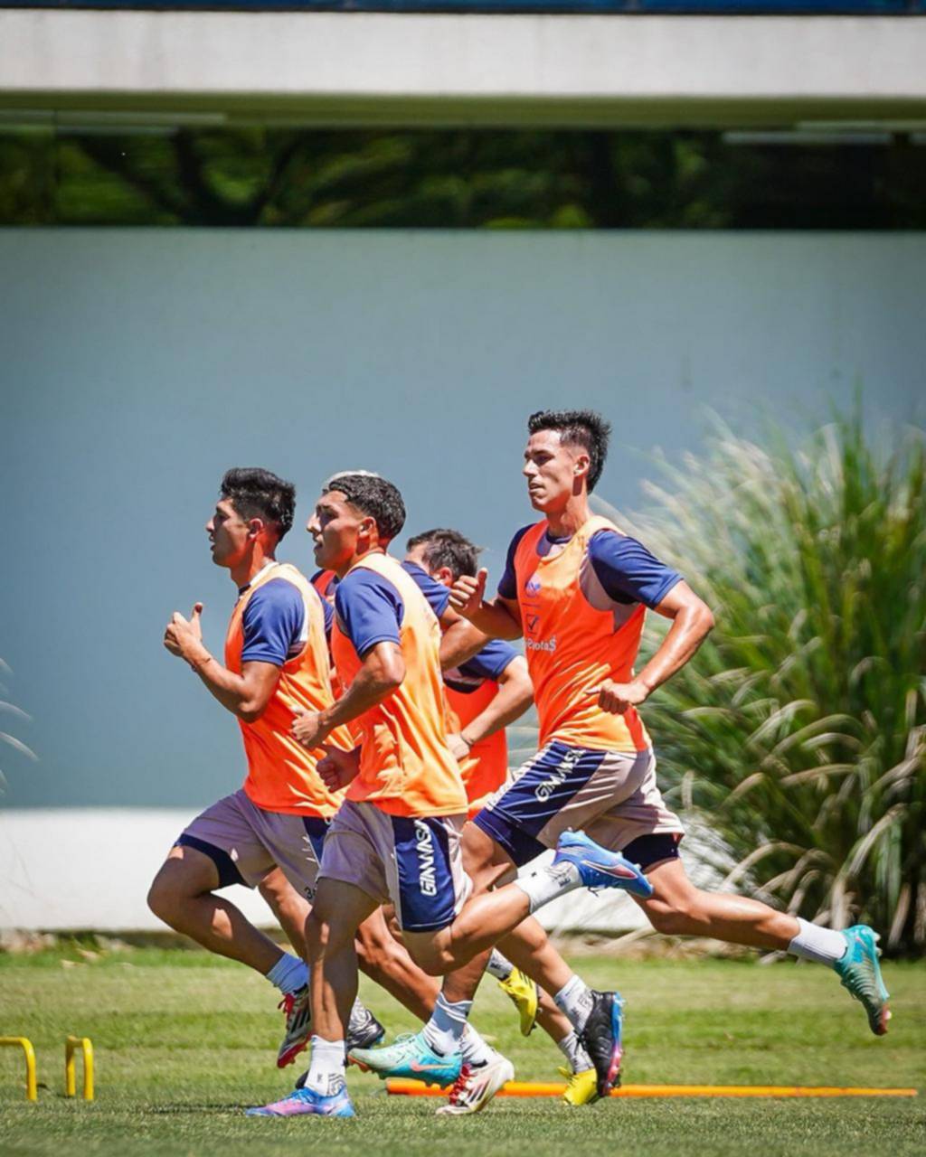 ¿Cómo termina el año del Lobo?