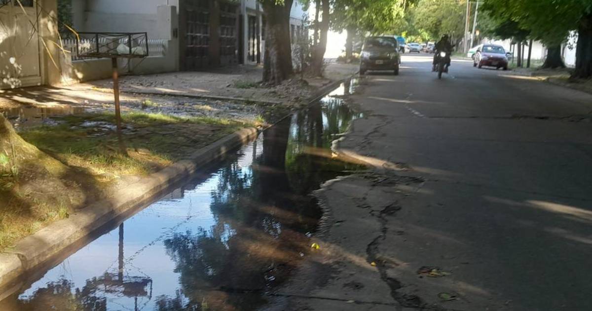 Queja por una pérdida de agua en 28 y 61: “Este lago es una vergüenza ...
