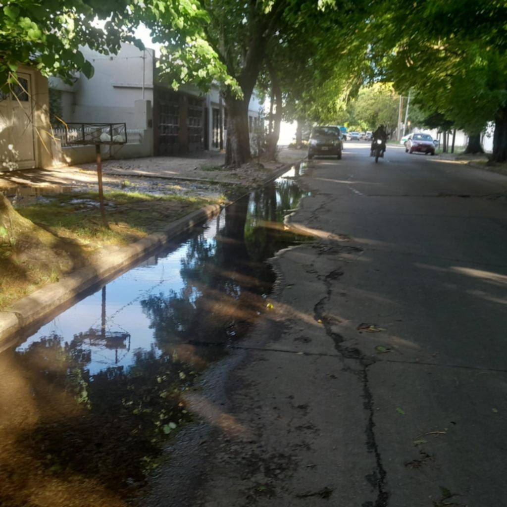 Queja por una pérdida de agua en 28 y 61: “Este lago es una vergüenza”