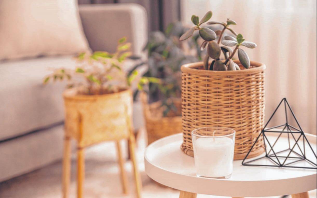 Tendencia en interiores: naturaleza, materiales auténticos y sostenibilidad