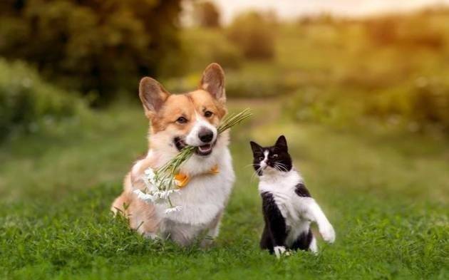 El lunes amaneció con térmica de invierno pero repunta a pleno sol: así arranca la semana en La Plata