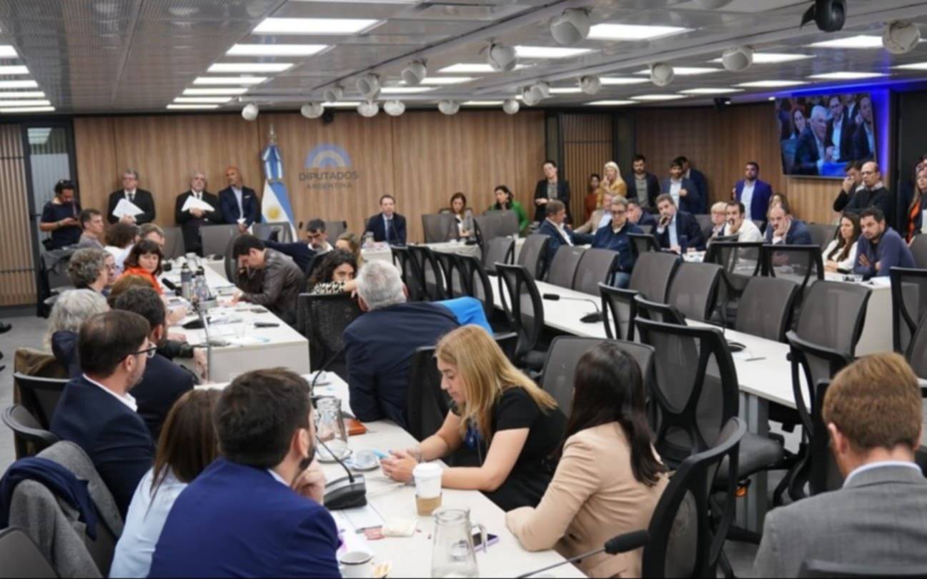 Caso $Libra: la comisión investigadora presentará sus conclusiones con un informe en Diputados