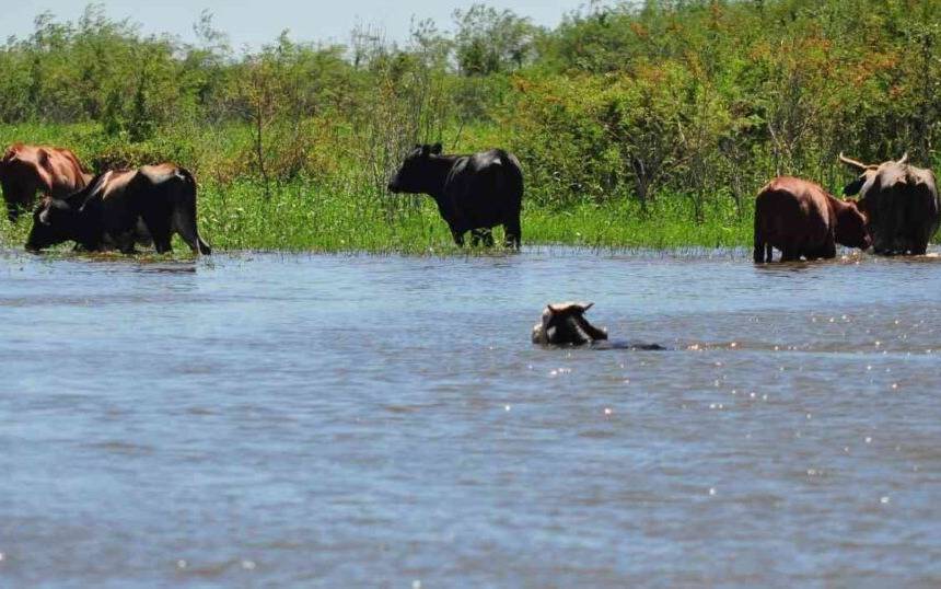 Inundaciones en la Provincia: casi 6 millones de hectáreas afectadas y pérdidas de US$2.000 millones