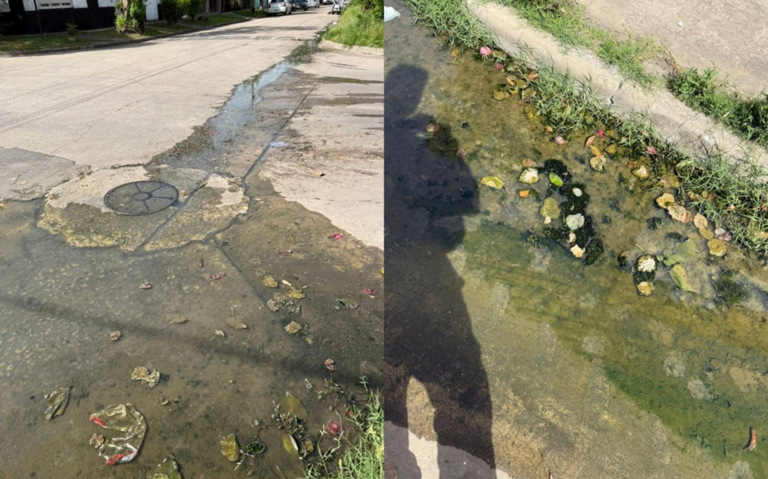 Cloacas rebalsadas en un barrio de La Plata