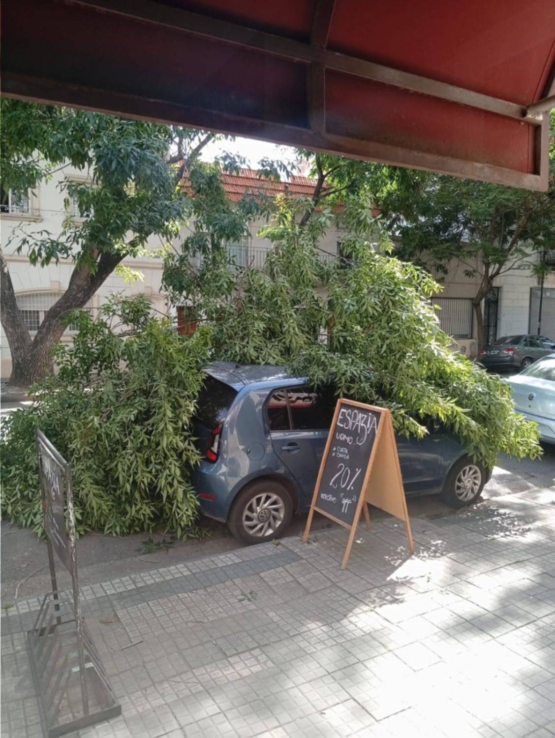 Una rama se desmoronó sobre un auto en el Centro y causó un caos vehicular