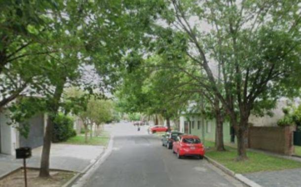 Una familia de Ringuelet blanco de una entradera