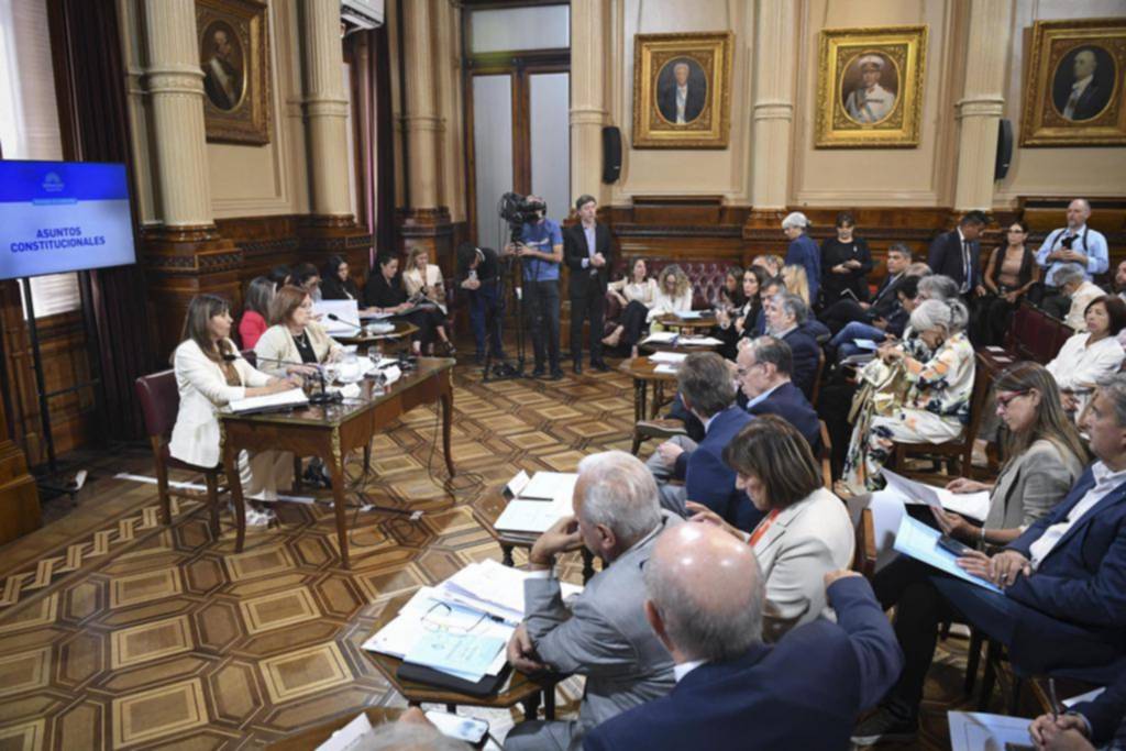 Guerra de impugnaciones por el ingreso al Senado: una libertaria “tocada”