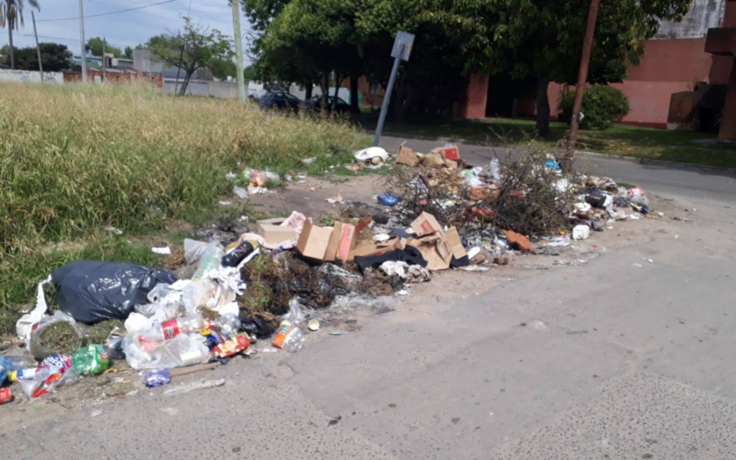 Basural a cielo abierto en una zona de Villa Elvira