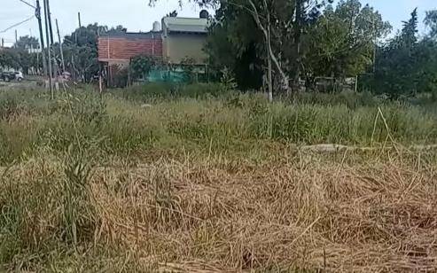 Reclaman corte de pasto “urgente” en 159 y 60