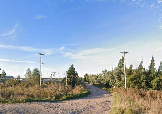 Miedo a plena luz del día: feroz entradera a una jubilada en Olmos