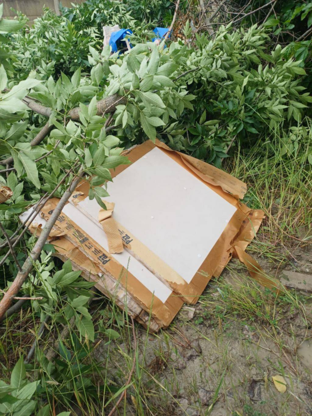 Porcelanatos robados y dos aprehendidos en Berisso