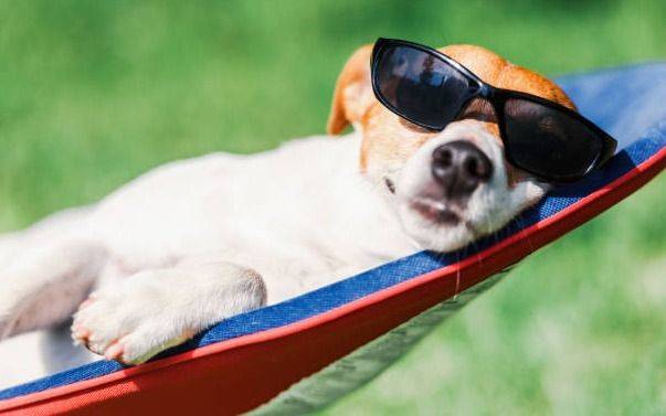 Sábado fresco y agradable en La Plata: cómo sigue el finde XXL