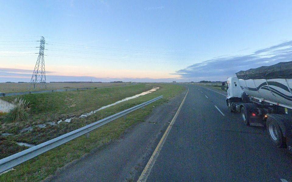 Chocó a un carpincho en Ruta 2: destrozó el frente del auto, el roedor murió