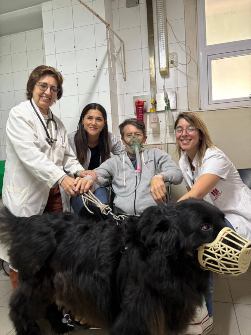 Perros “enfermeros” en el hospital: el cariño también ayuda a curar