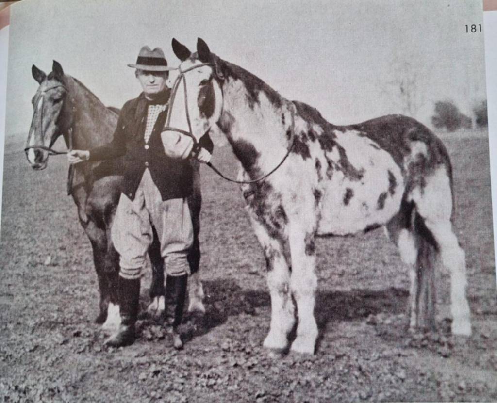La increíble epopeya del jinete Tschiffely y de Mancha y Gato