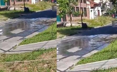 Pérdida de agua "bajo el asfalto" en San Carlos provocó hundimiento de la calle