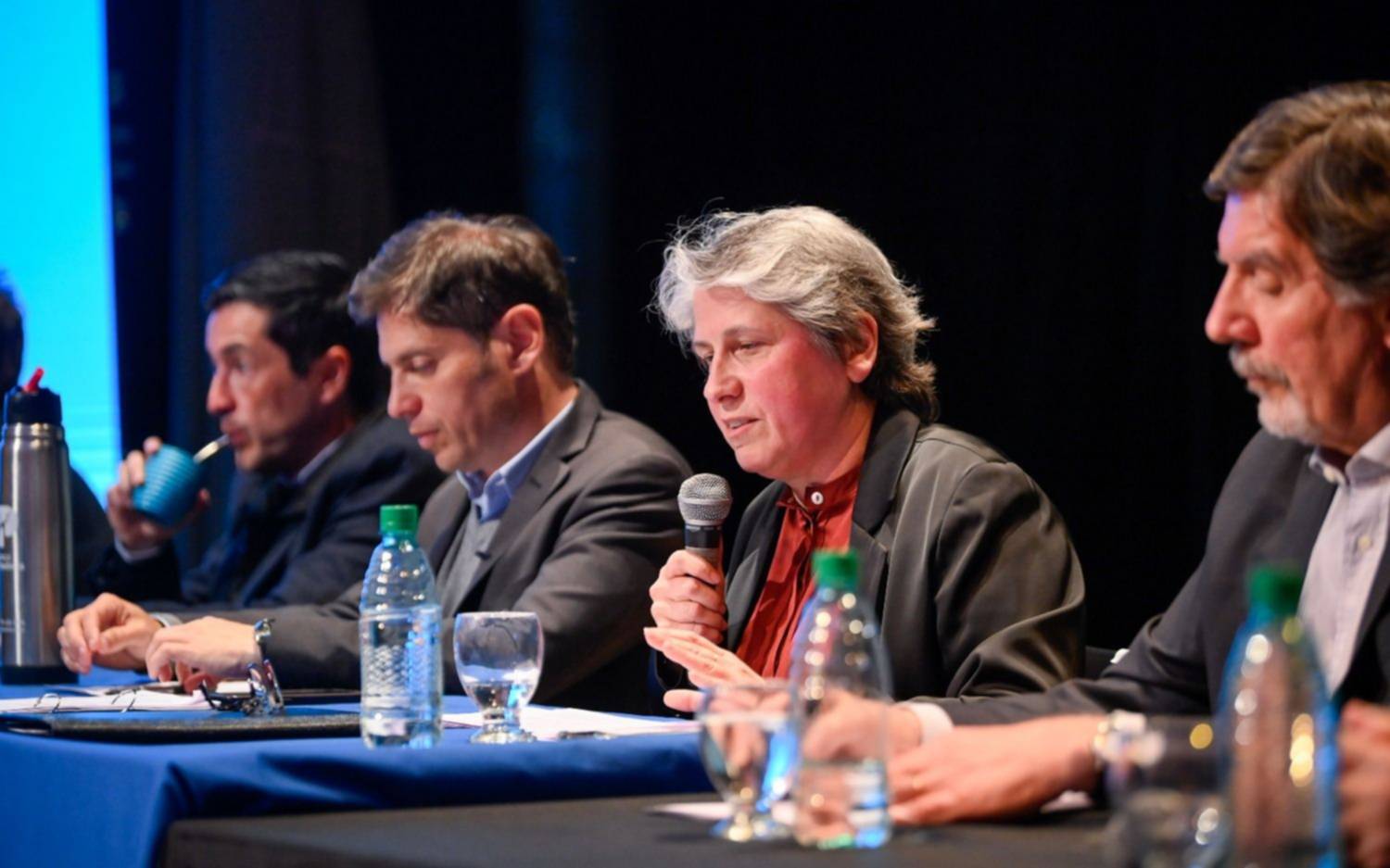 Quién es Flavia Terigi, elegida por Kicillof para estar al frente de Educación