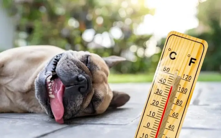 Se anticipa el verano en La Plata con un termómetro que se acerca a los 30ºC