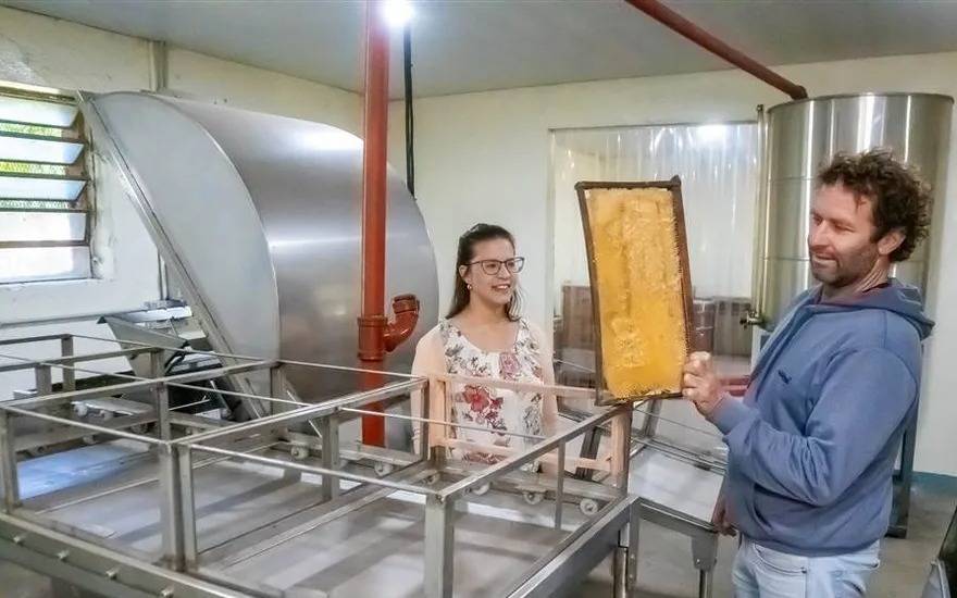 Junín avanza en la regularización de la producción de miel