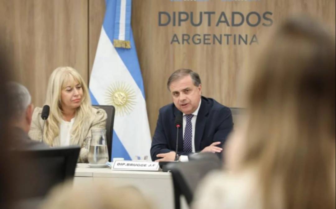 Diputados: intendentes pidieron bajar el IVA para compras y contratos municipales