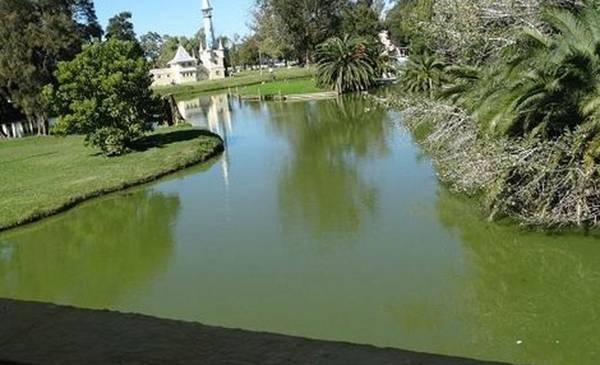 Alerta por cianobacterias en el lago de la “Repu” y en el Río Santiago