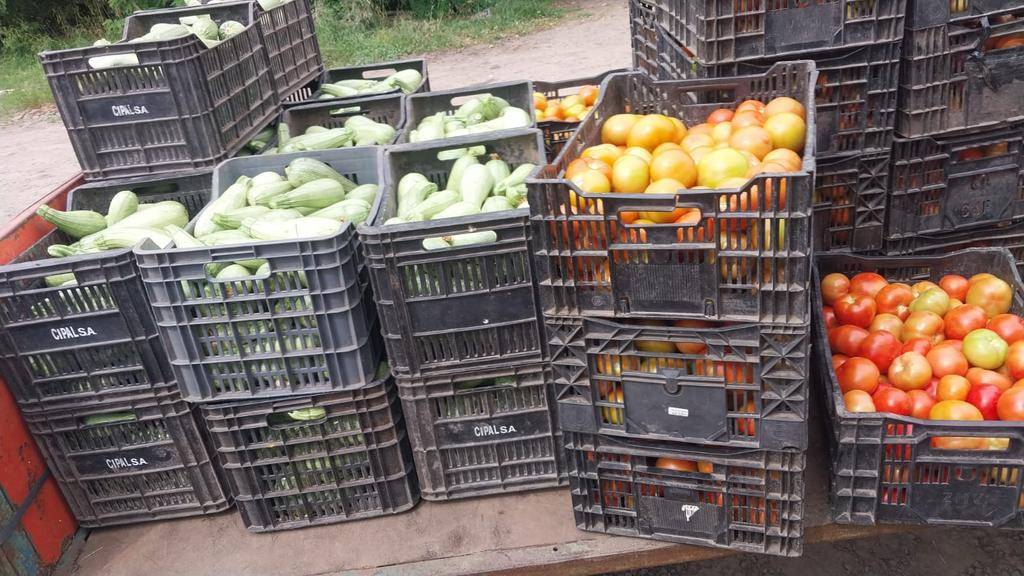 Verdura que vuelve y se tira: la caída del consumo pega en las quintas