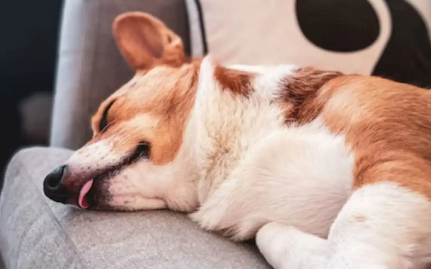 El fin de semana en La Plata comenzó fresco y nublado, y se esperan lluvias desde este sábado