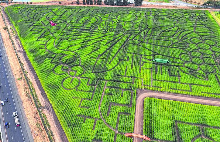 Cuando perderse en un laberinto es pasarla bomba