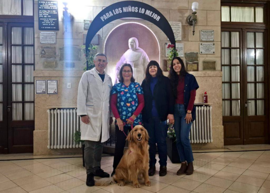Una mañana con Saru, una de las golden que visitan el Hospital de Niños