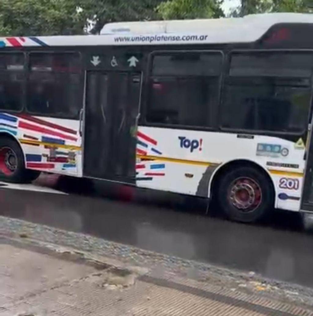 Locura total: le tiran una botella a un micro