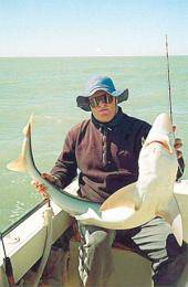 El cazón, una especie deportiva