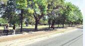 Crean circuito aeróbico en el parque San Martín
