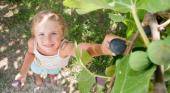 Alertan sobre plantas que provocan alergias