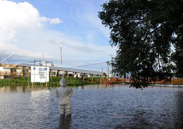 Según ONG, la causa principal 
de las inundaciones "es la deforestación"