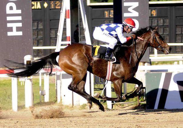 Primera nuestra candidata