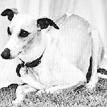 Extravios y hallazgos