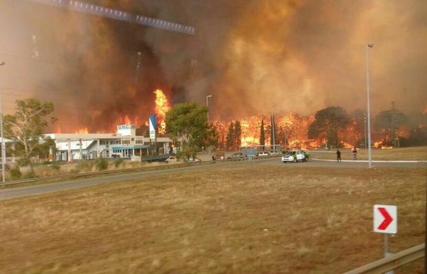 Bosque en llamas: refuerzan la hipótesis de una acción intencional
