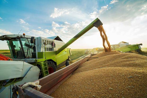 El motor de la economía bonaerense, afectado por heladas y falta de lluvia