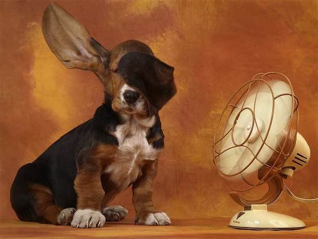 El verano se viene con “temperaturas altas” pero con pocas “olas de calor”