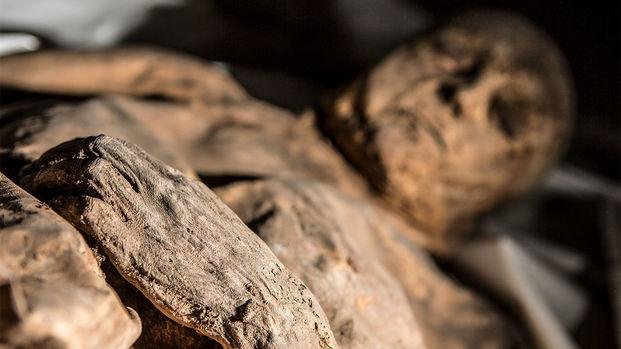 Hallan rastros de viruela en una momia del siglo XVII