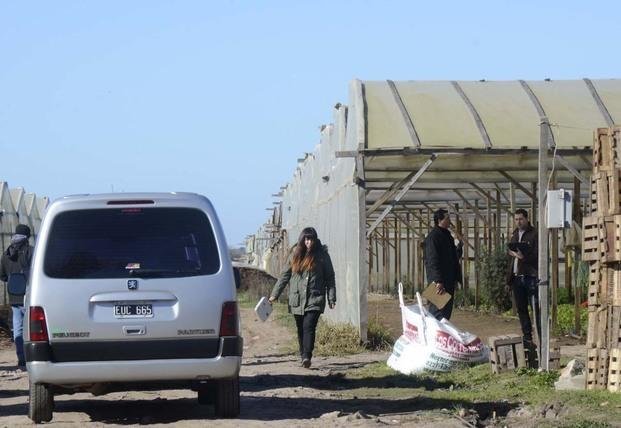 Buscan regular la actividad del cordón hortícola local
