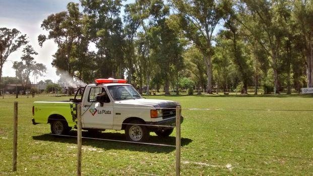 La Comuna refuerza medidas para prevenir el dengue, zika y chikungunya