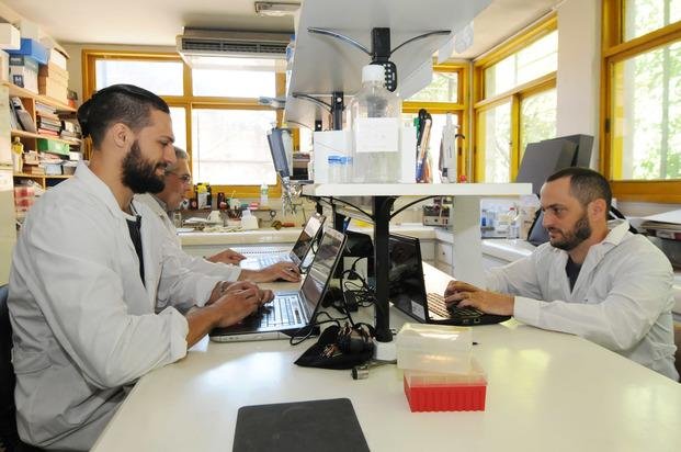 La UNLP y el Conicet presentan un desarrollo para mejorar la producción bovina