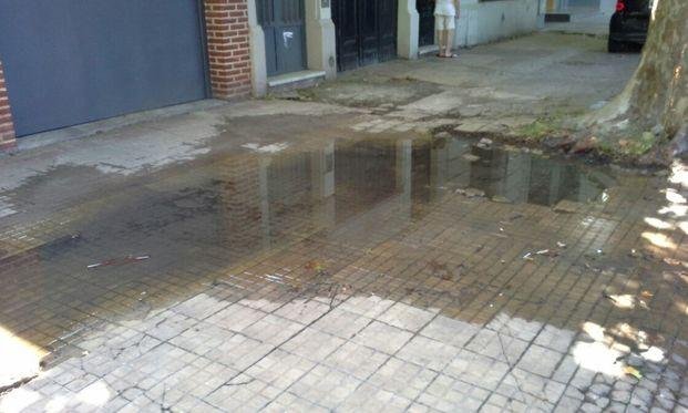 Vecinos advierten por "una laguna" en 14, 61 y 62